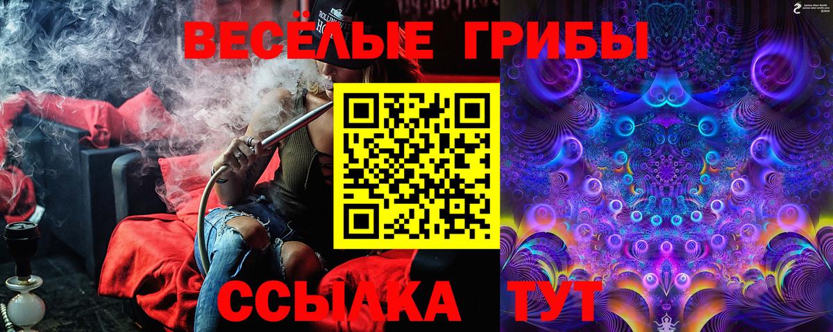 Псилоцибиновые грибы GOLDEN TEACHER Старая Купавна