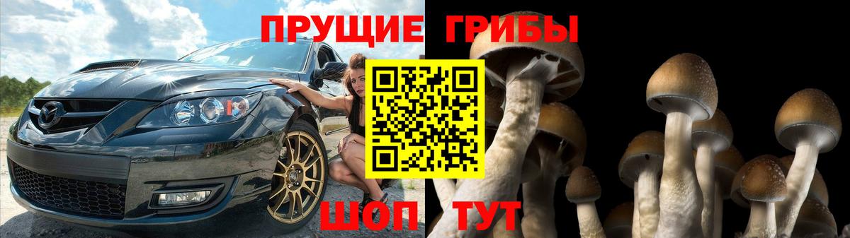 Галлюциногенные грибы GOLDEN TEACHER  Вход с VPN  Старая Купавна  Псилоцибиновые грибы ЛСД 